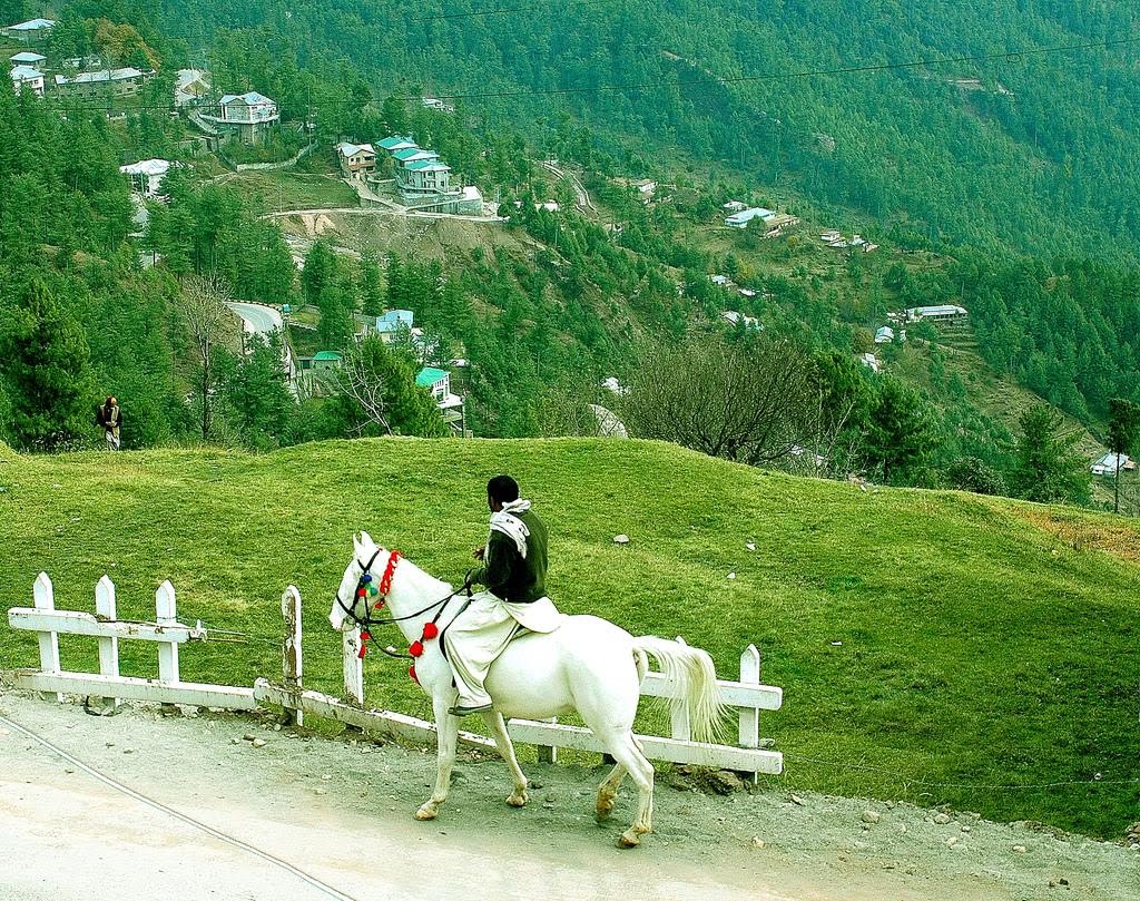 Amaizing Tour Packages of Murree