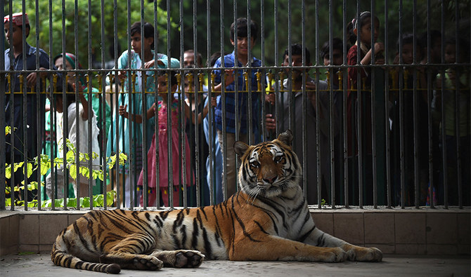 lahore safari park area