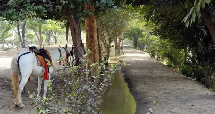 safari zoo rawalpindi