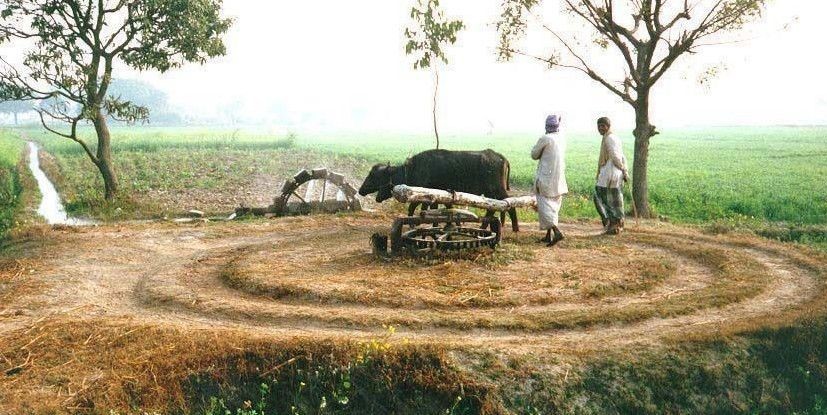 village life in pakistan essay