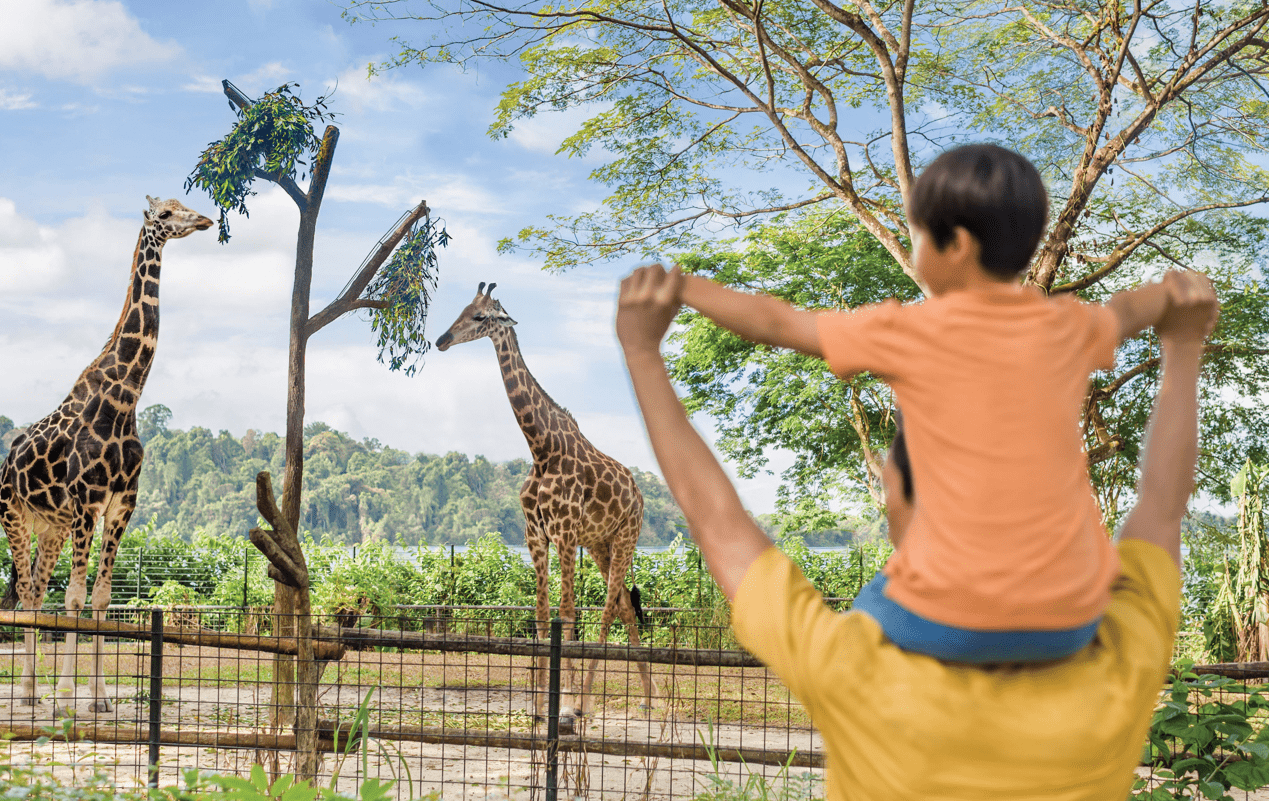 25 Fun Things to Do in Singapore with Kids