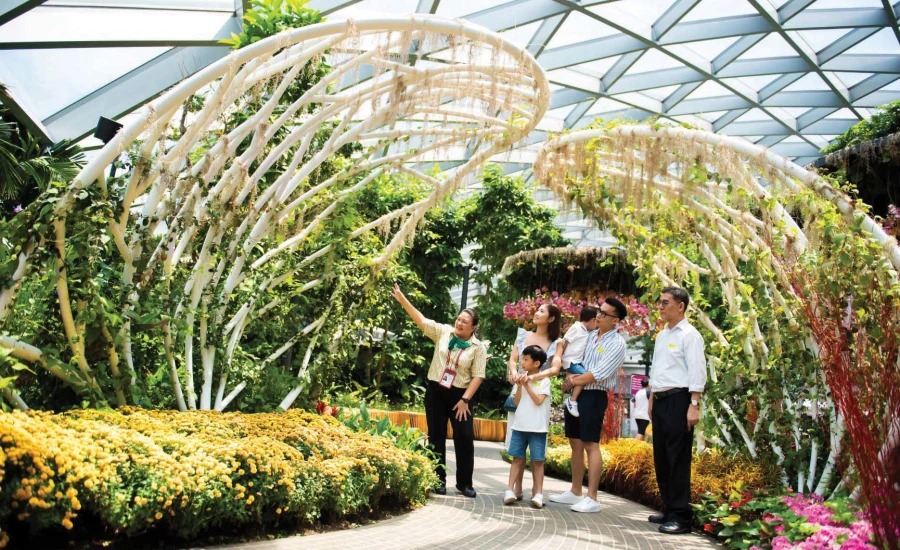 Best of Jewel Complex Changi Airport