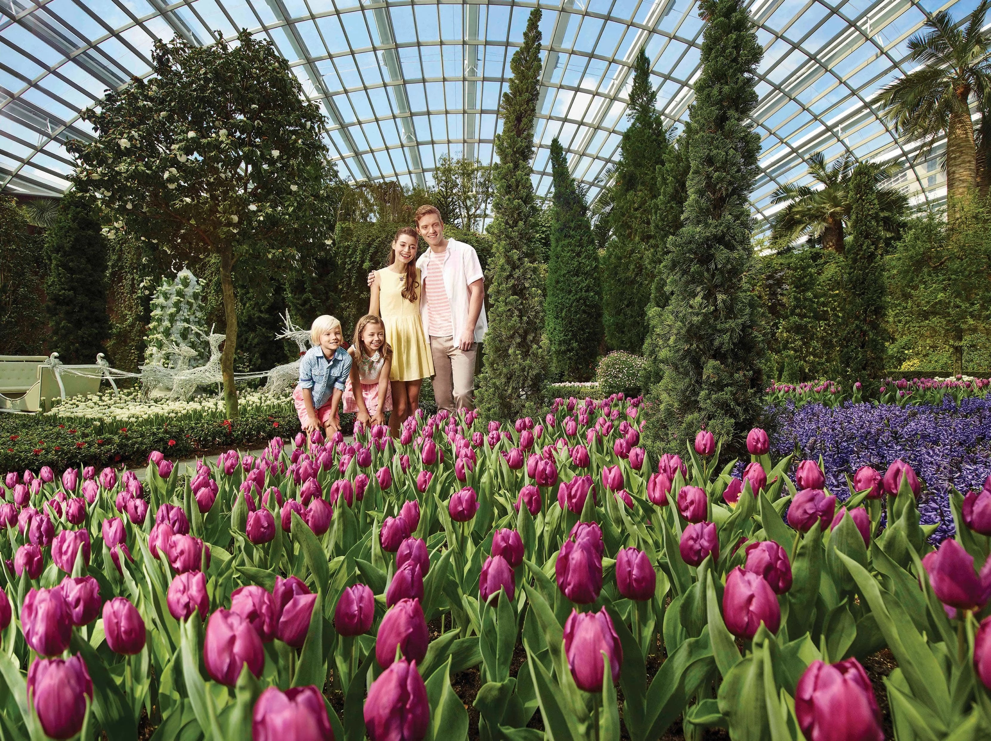 Gardens by the Bay with One Way Transfer (Flower Dome + Cloud Forest)