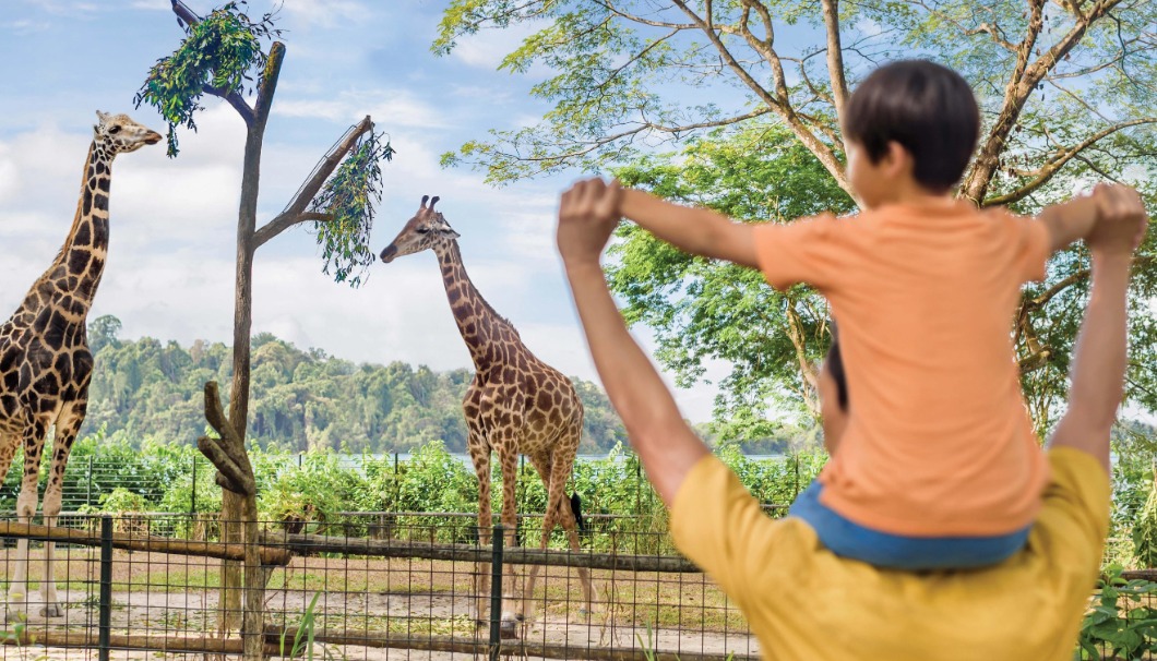 Breakfast in the Wild at Singapore Zoo - With One-way Transfer only