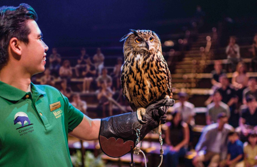 Night Safari Tour with Dinner @The Courtyard
