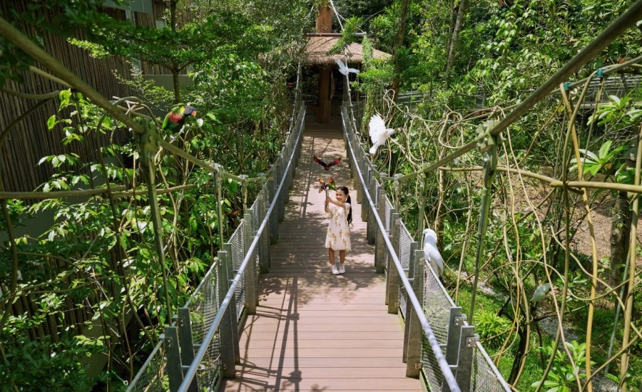 Bird Paradise with 1 way transfer (Non-Guided Tour)