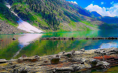 Gallery thumbnail