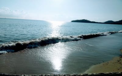 Gallery thumbnail