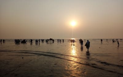 Gallery thumbnail