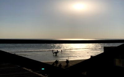 Gallery thumbnail