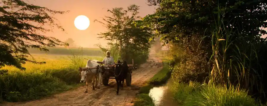 Village Life in Pakistan