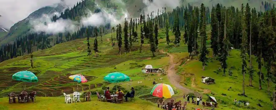 Lalazar Meadows - Kaghan Valley