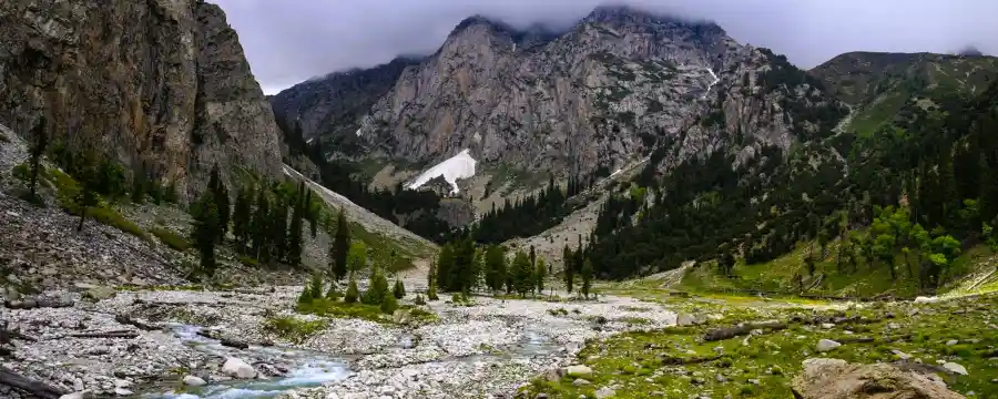 Janshai Meadows Swat - A Picturesque Escape to Nature's Paradise