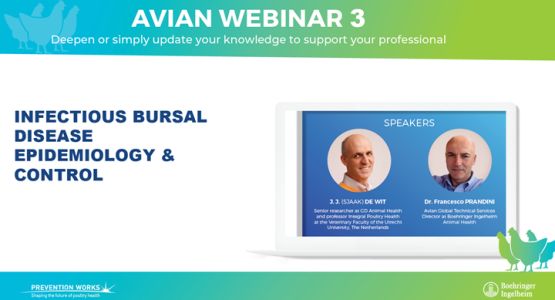 Vetclass - webinar 1 720x400 webinar 3_720x4100