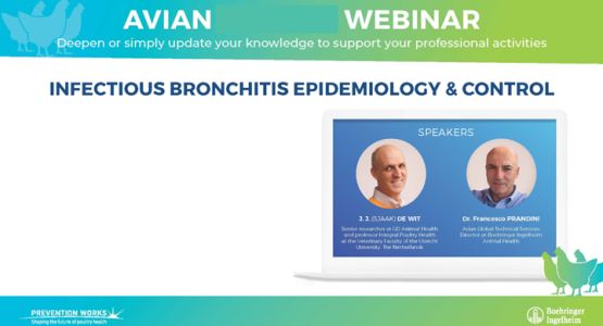 Vetclass - webinar 1 720x400 Vetclass - webinar 1 720x400