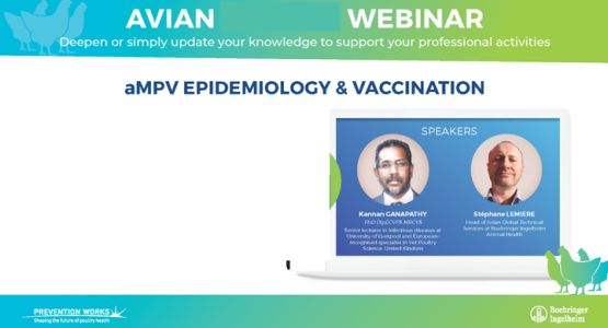 Webinar 4-720x400