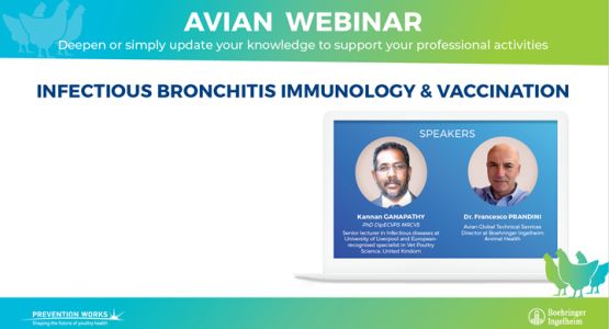 Webinar-BI-2 Webinar-BI-2