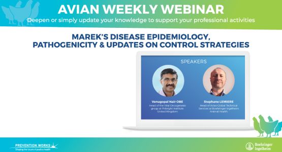 Marek's diesease epidemiology pathogenicity & updates on control strategies Webinar - 5