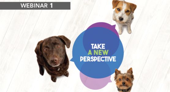 Dogs - Take a new perspective - Webinar 1 Dogs - Take a new perspective - Webinar 1