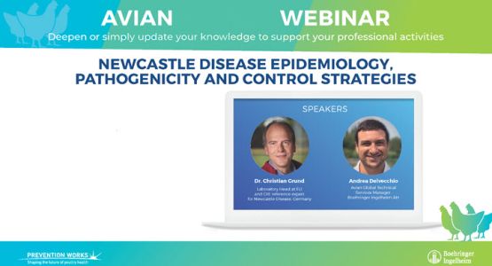 Webinar 6 Webinar 6720x400