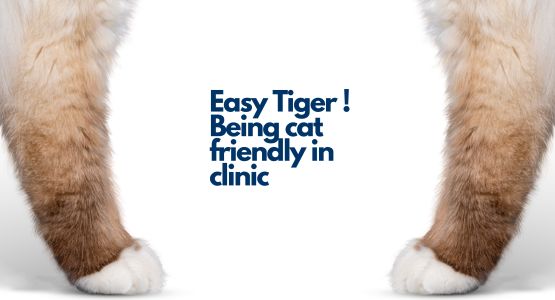 Easy Tiger! Easy Tiger!