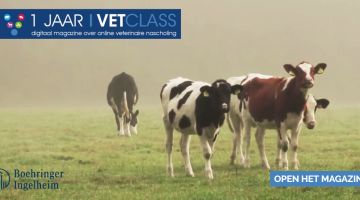 vetclass magazine ter ere van 1 jarig bestaan vetclass magazine ter ere van 1 jarig bestaan online nascholingsplatform dierenartsen