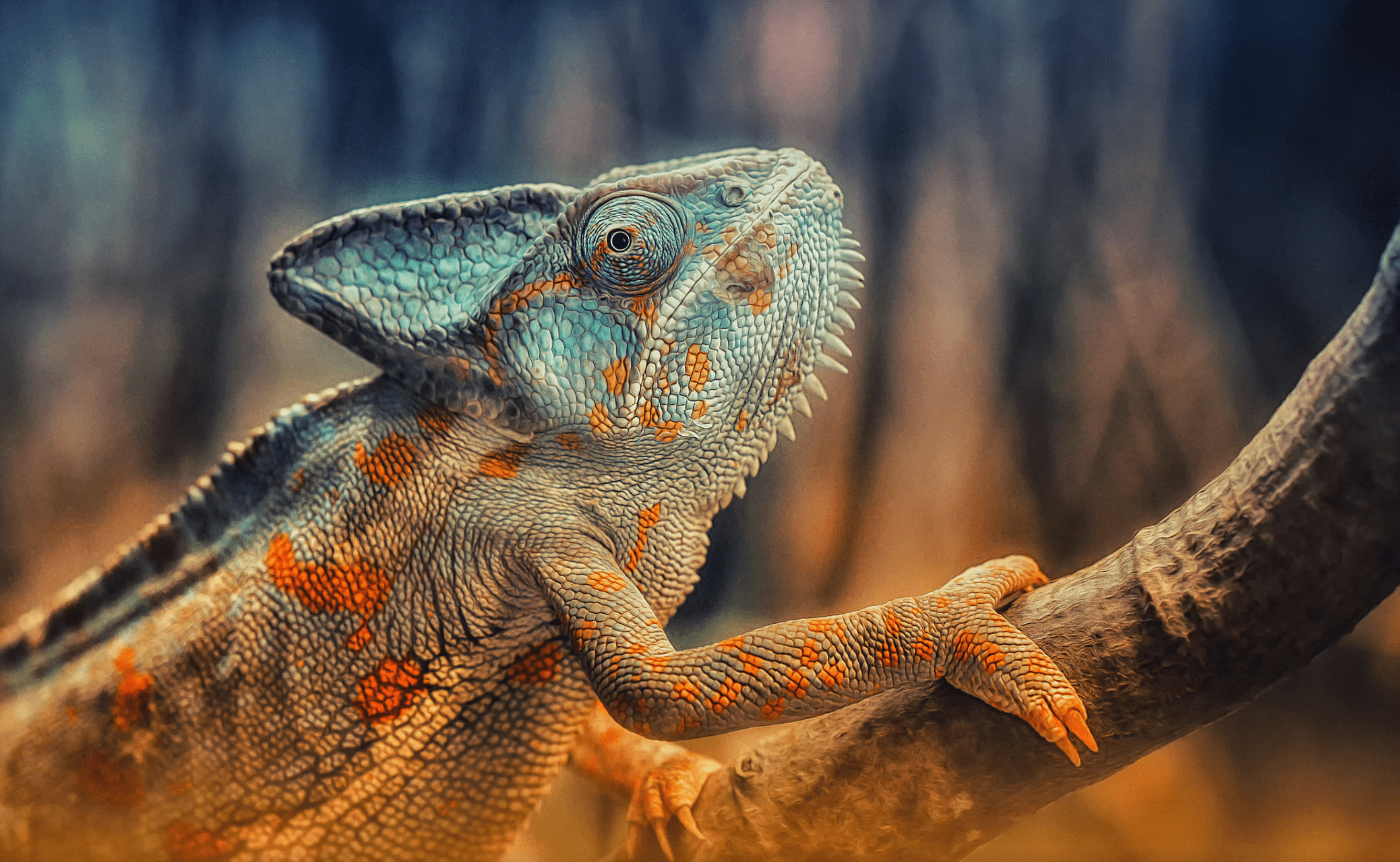 reptiles worlds most popular animals