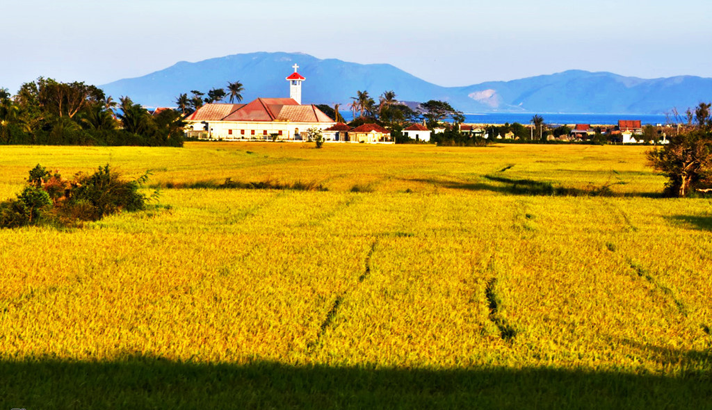 rice terraces fields in khanh hoa