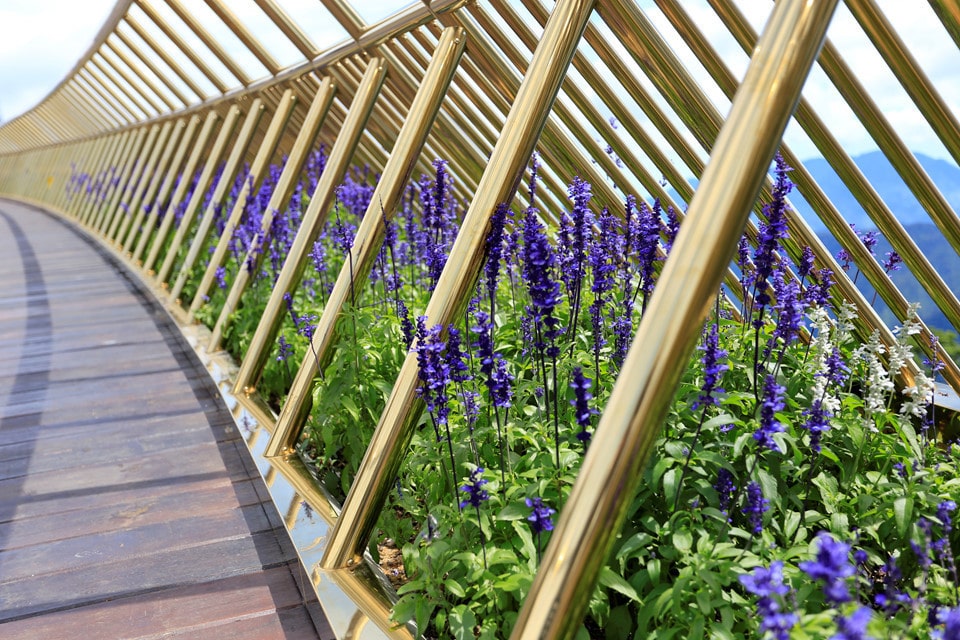golden bridges vietnam