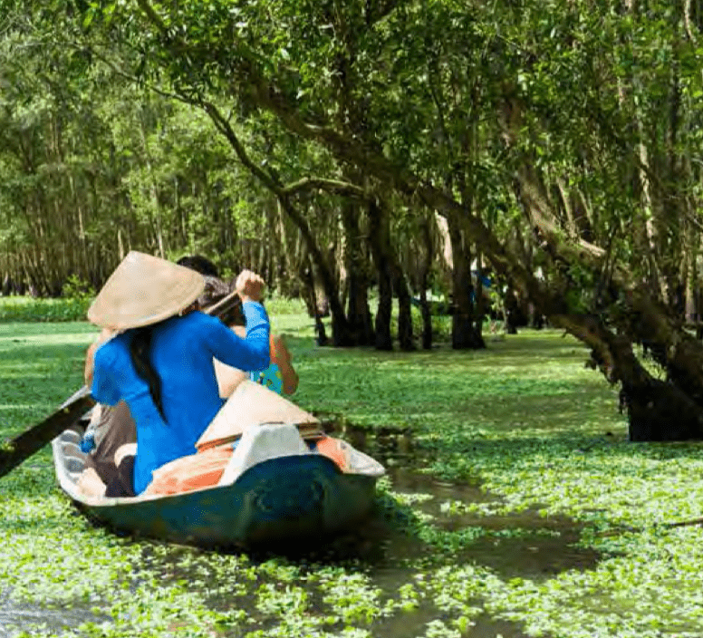 vietnam tour packages from india