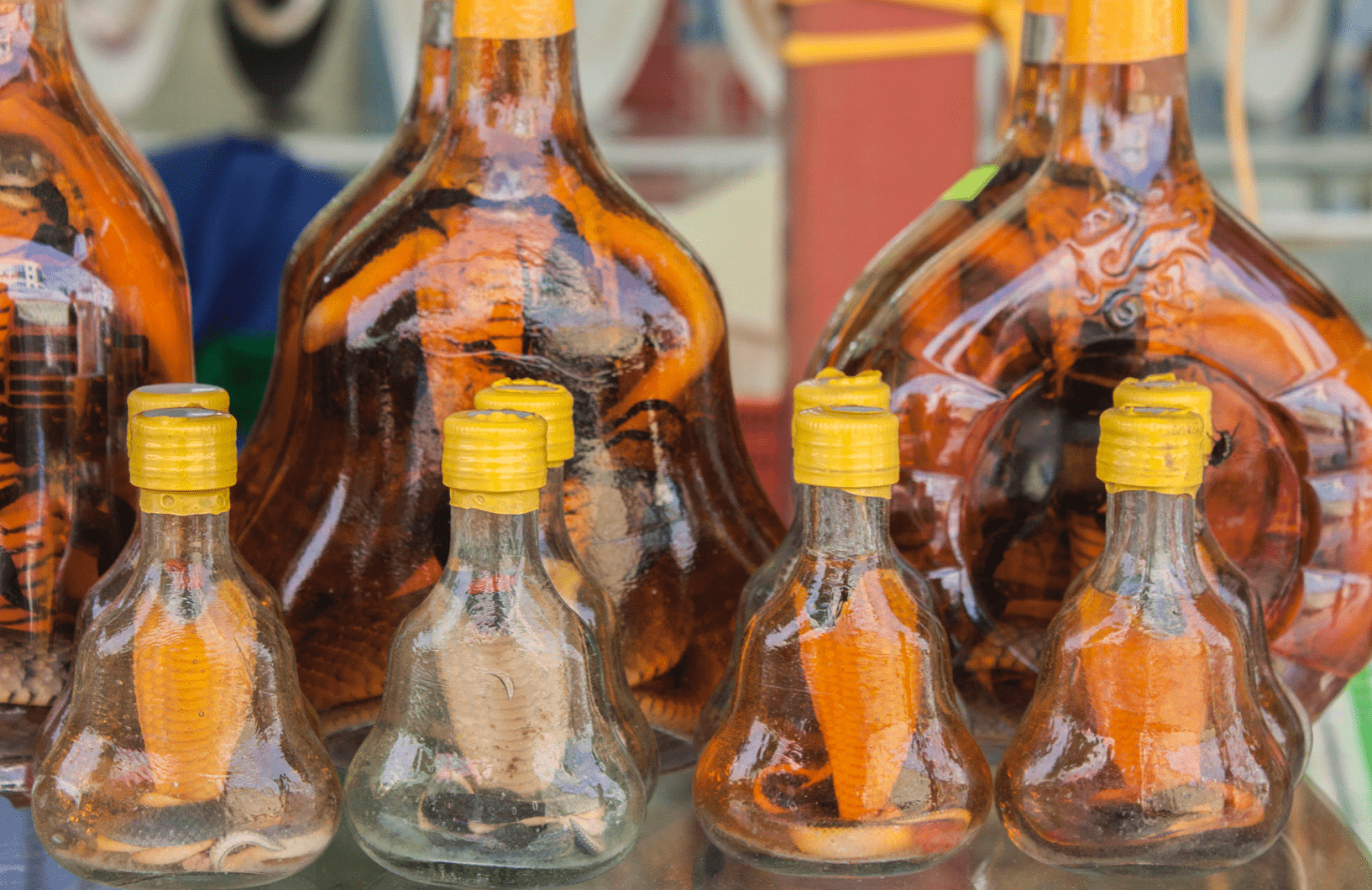 snake wine vietnam