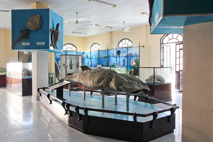 Nha Trang Oceanography Institute