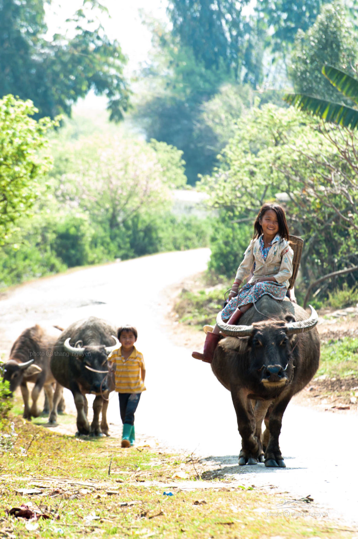 trekking in son la vietnam