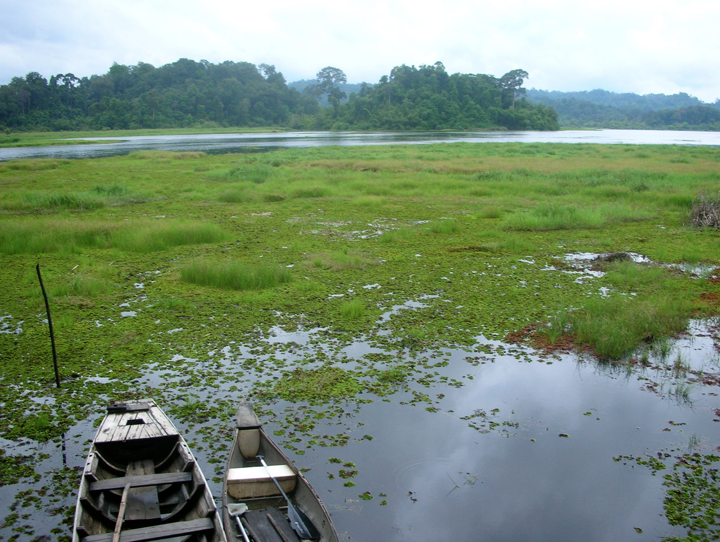 cat tien national park trekking vietnam