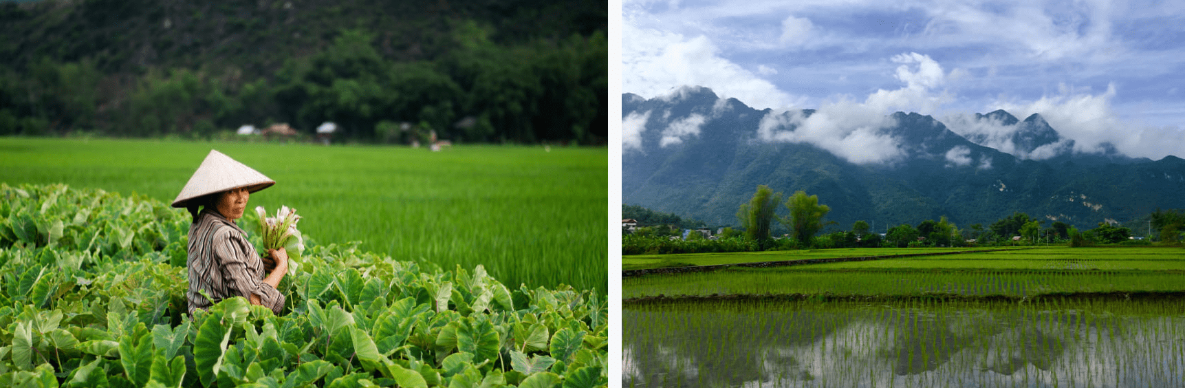 trek mai Chao valley vietnam from hanoi