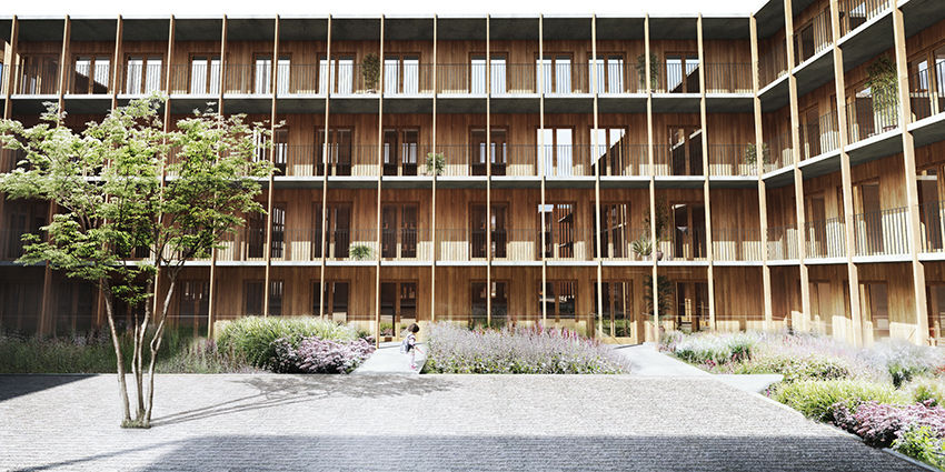 desarrollo sostenible con madera