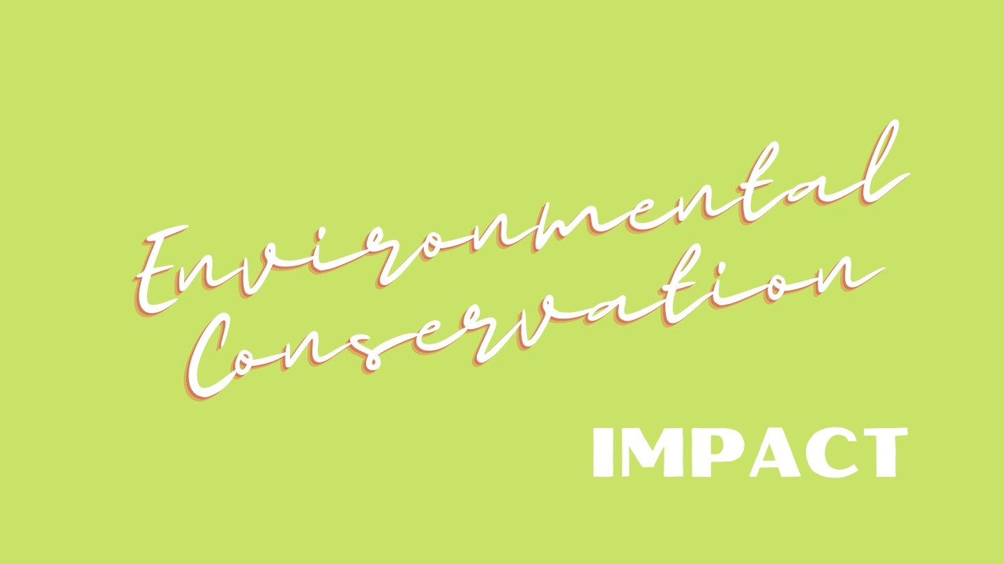 Environment Impact Environment Impact