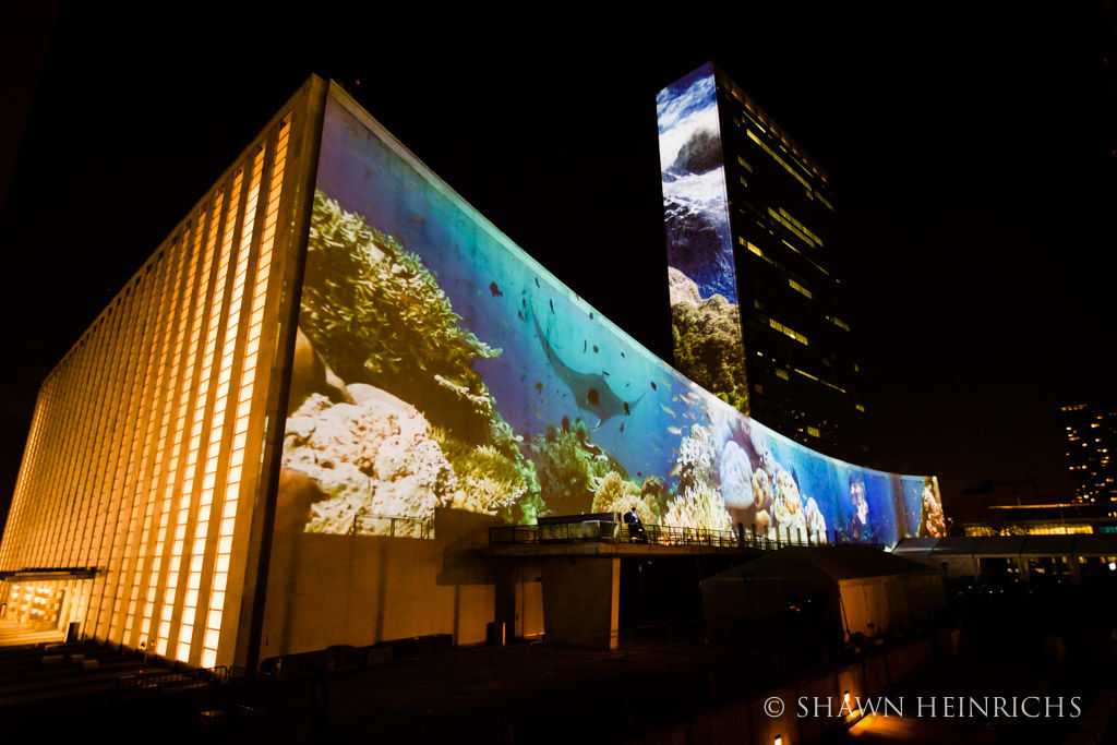 UN, Ocean Conservation, Ocean Unite UN, Ocean Conservation, Ocean Unite