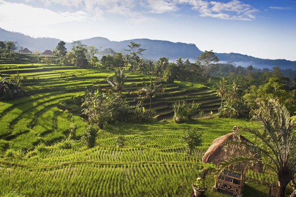 The world's best start-up hubs: Bali, Indonesia | Virgin