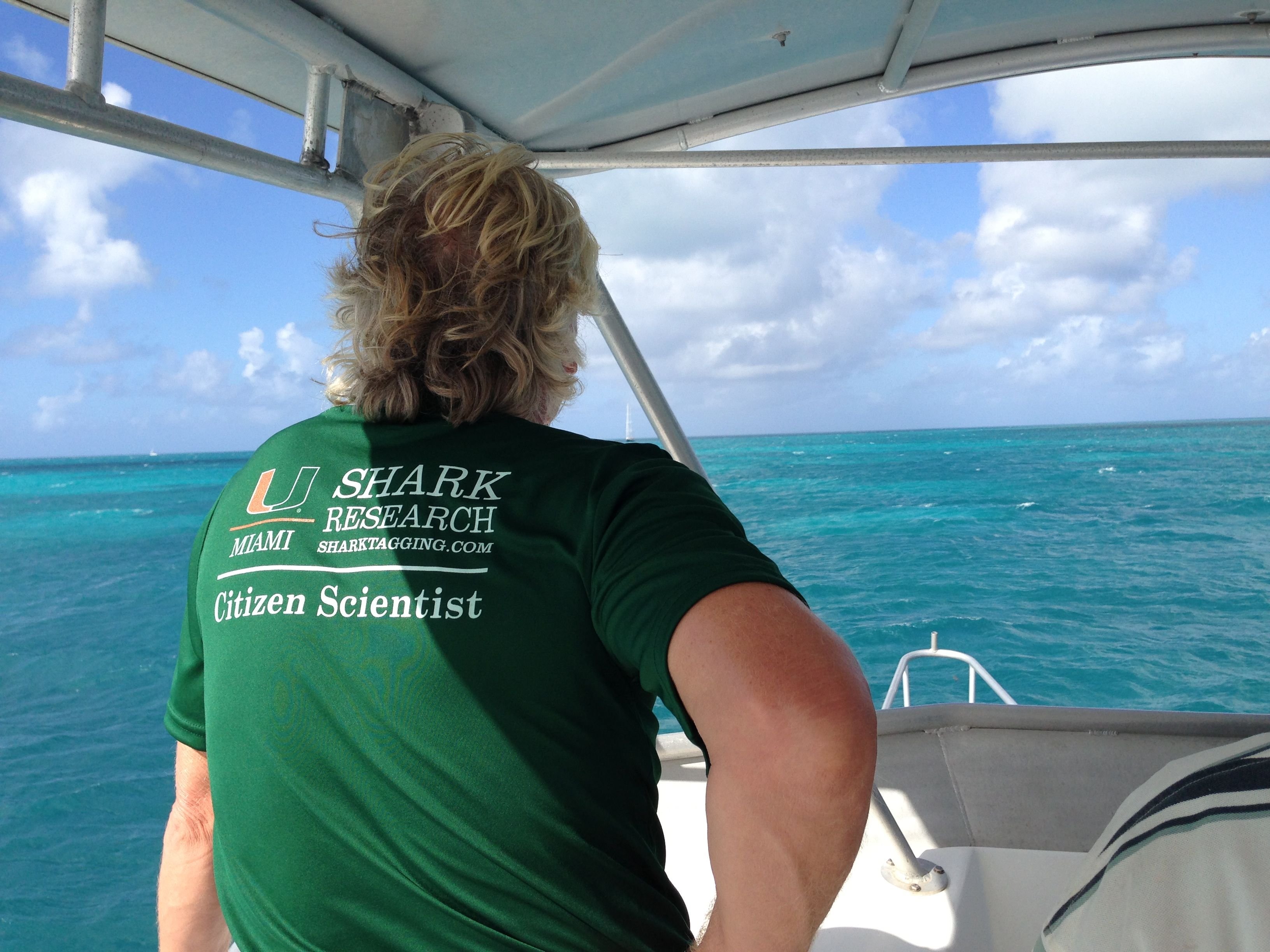 BVI shark tagging