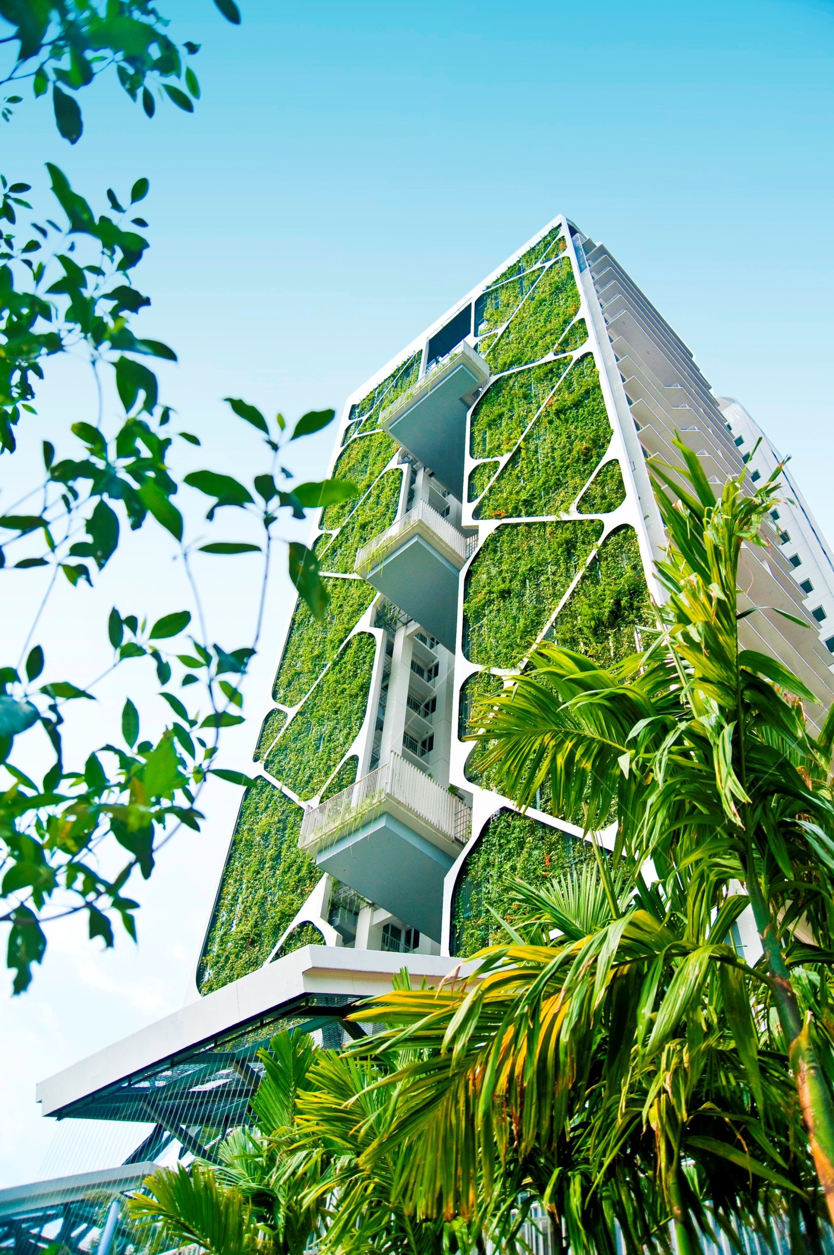 Green Streets How Plantlife Is Inspiring Modern Architecture Virgin