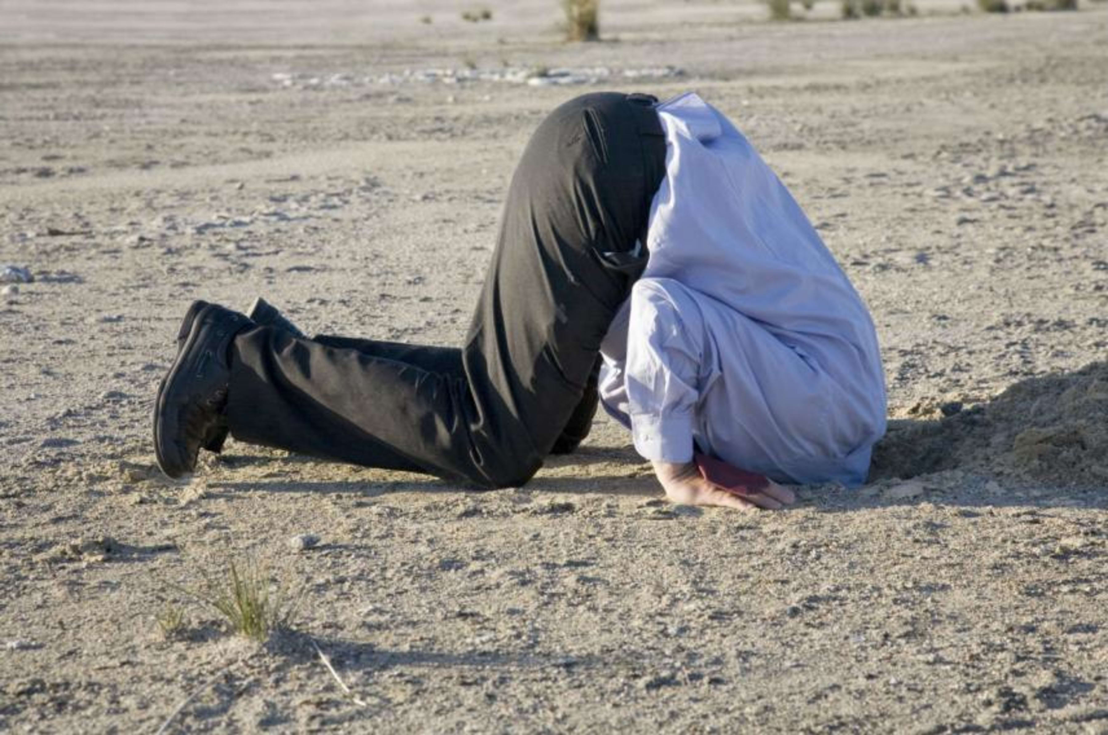 headinsand_getty_crop_nov_2014.png