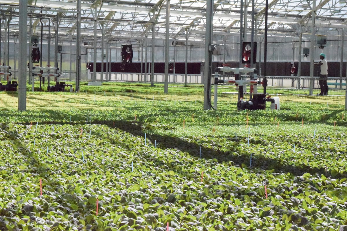 farm fresh thinking brighter ways to produce and supply food farms