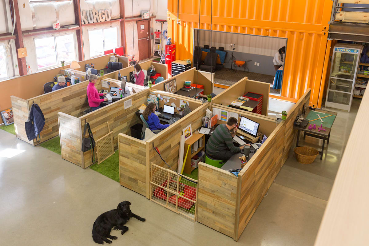 Creating The World S Most Dog Friendly Office Virgin