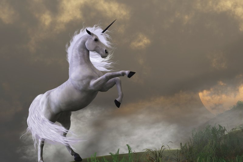 The problem with the rise of unicorn start-ups | Virgin