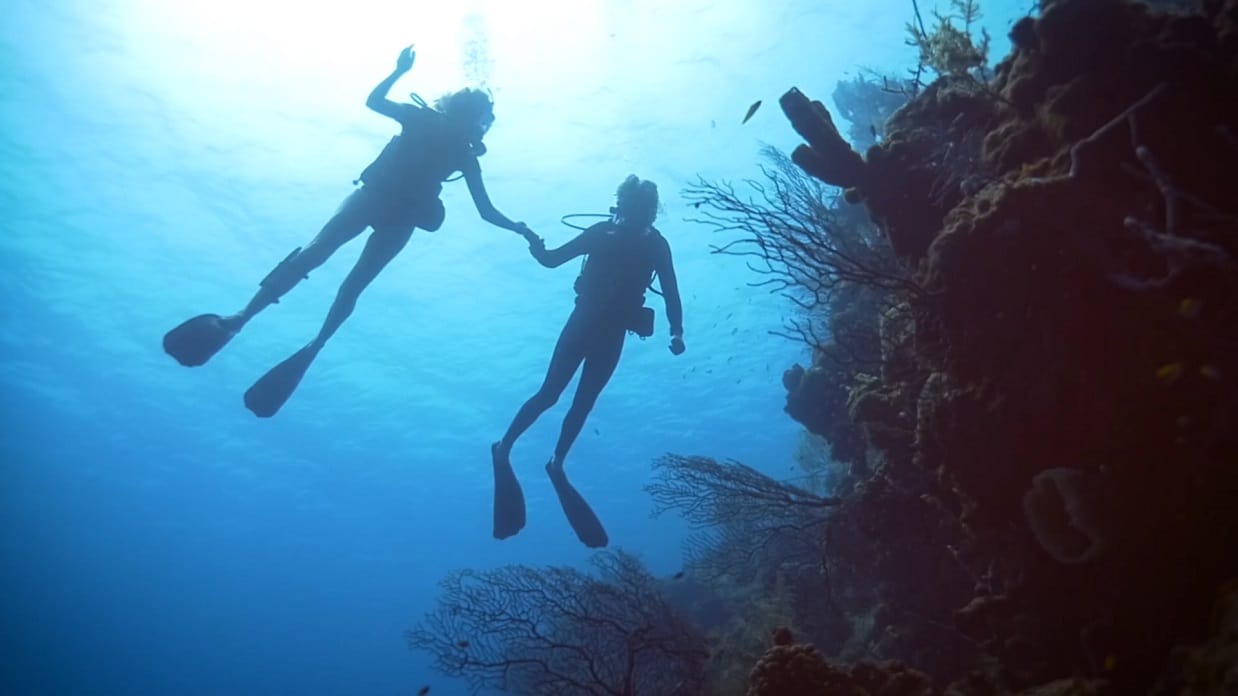 Virgin Unite, Ocean Unite, Ocean, Cousteau