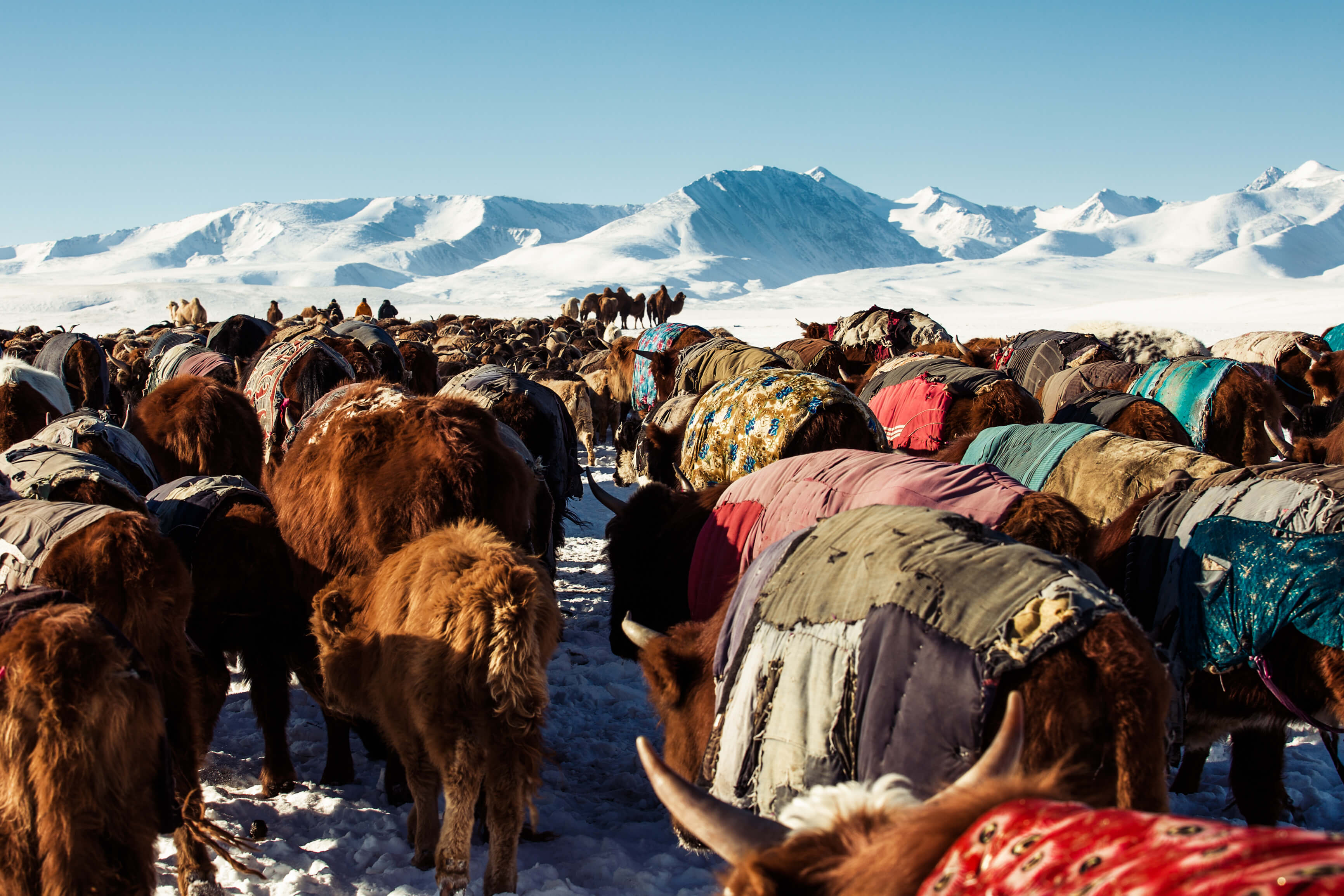 Mongolia, Climate Mongolia, Climate
