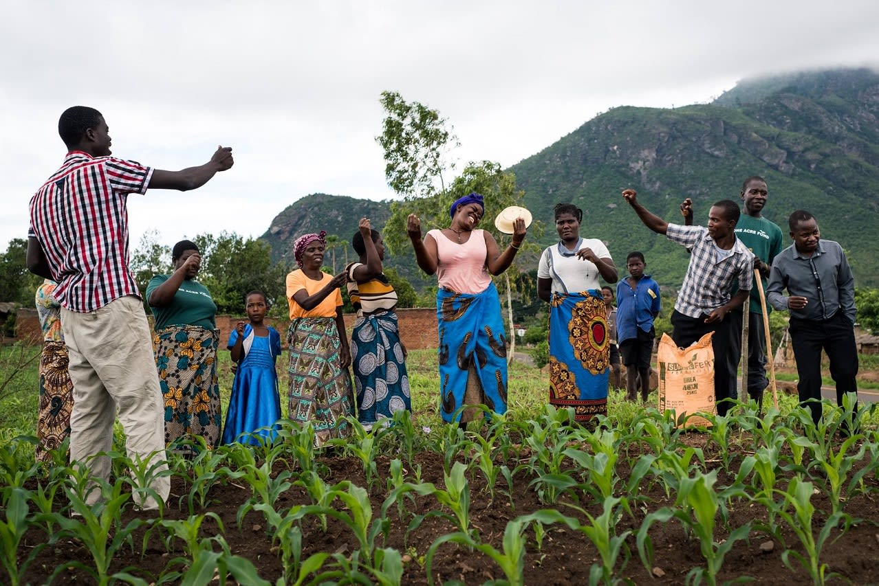 One Acre Fund, Audacious Project One Acre Fund, Audacious Project