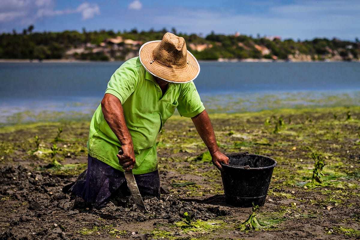 Virgin Unite, Climate and conservation, wetlands 2016 2