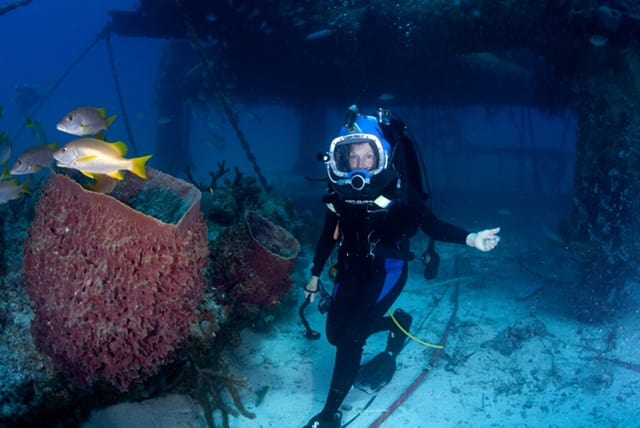 Virgin Unite, Ocean Unite, Ocean Conservation, Sylvia Earle, Under Water